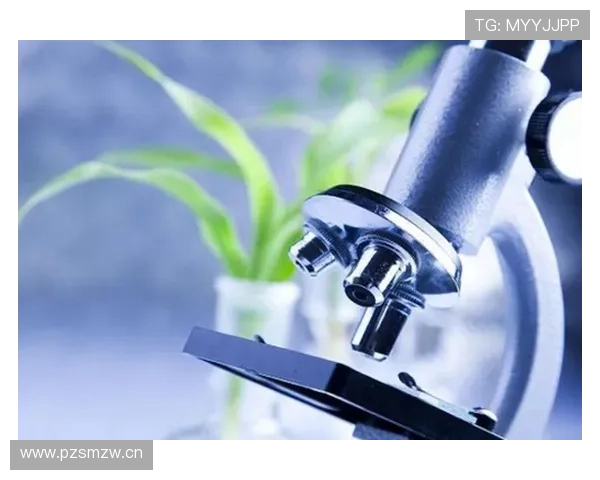 奥利塞的职业生涯发展潜力与未来上限分析