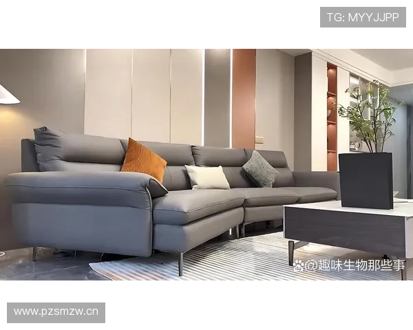 李诗沣随手晒个家居照，光角落那套东西就能把我年底奖金吃没